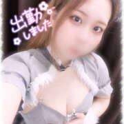 ヒメ日記 2025/03/24 10:23 投稿 きい MINT（ミント）