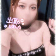 ヒメ日記 2025/04/07 13:16 投稿 きい MINT（ミント）