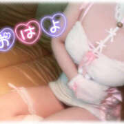 ヒメ日記 2025/04/15 07:30 投稿 きい MINT（ミント）