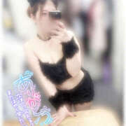 ヒメ日記 2025/04/17 22:00 投稿 きい MINT（ミント）