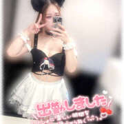 ヒメ日記 2025/04/29 13:26 投稿 きい MINT（ミント）