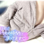 ヒメ日記 2025/05/04 08:30 投稿 きい MINT（ミント）