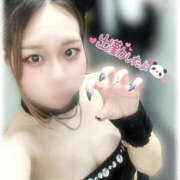 ヒメ日記 2025/05/04 12:56 投稿 きい MINT（ミント）