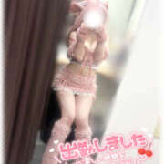 ヒメ日記 2025/05/09 13:14 投稿 きい MINT（ミント）