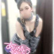 ヒメ日記 2025/05/17 08:30 投稿 きい MINT（ミント）