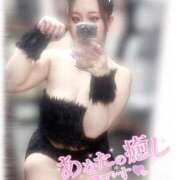 ヒメ日記 2025/06/15 12:45 投稿 きい MINT（ミント）