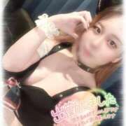 ヒメ日記 2025/06/23 13:15 投稿 きい MINT（ミント）