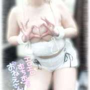 ヒメ日記 2025/06/24 09:52 投稿 きい MINT（ミント）