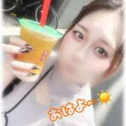 ヒメ日記 2025/07/28 09:00 投稿 きい MINT（ミント）