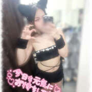 ヒメ日記 2025/09/01 13:14 投稿 きい MINT（ミント）