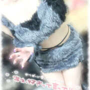 ヒメ日記 2025/09/07 15:00 投稿 きい MINT（ミント）