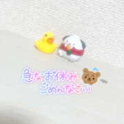 ヒメ日記 2025/09/26 11:50 投稿 きい MINT（ミント）