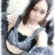 ヒメ日記 2025/11/30 13:43 投稿 きい MINT（ミント）