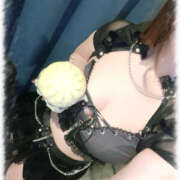 ヒメ日記 2026/03/01 12:56 投稿 きい MINT（ミント）