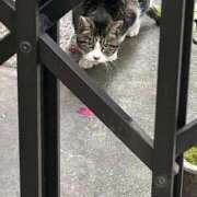 ヒメ日記 2025/03/08 23:12 投稿 西永いと ホットポイントヴィラ