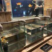 ヒメ日記 2025/08/24 21:42 投稿 西永いと ホットポイントヴィラ