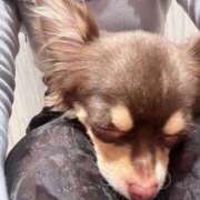 ヒメ日記 2025/03/19 20:41 投稿 ふみか ミラー