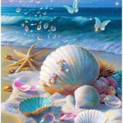 ヒメ日記 2026/01/24 14:01 投稿 ふみか ミラー