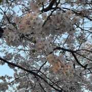 あさぎ ミタヨありがとう 熟女の風俗最終章 立川店