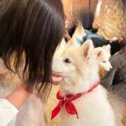 ヒメ日記 2025/03/11 15:31 投稿 かほ 大奥 梅田店