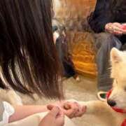 ヒメ日記 2025/03/12 08:31 投稿 かほ 大奥 梅田店