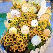 ヒメ日記 2025/07/23 08:37 投稿 かほ 大奥 梅田店