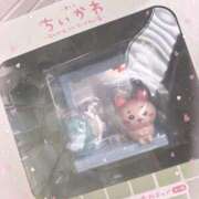 ヒメ日記 2025/09/19 09:24 投稿 かほ 大奥 梅田店