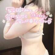 ヒメ日記 2026/02/25 08:41 投稿 かほ 大奥 梅田店