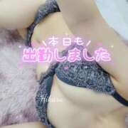 ヒメ日記 2025/02/25 14:00 投稿 ひかる♡おっとりふんわり♡体験 LUXURIA（ルクスリア）
