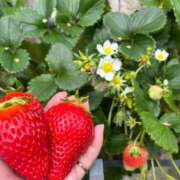 ヒメ日記 2025/03/14 11:55 投稿 ひかる♡おっとりふんわり♡体験 LUXURIA（ルクスリア）