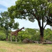 ヒメ日記 2025/05/24 19:55 投稿 ひかる♡おっとりふんわり♡体験 LUXURIA（ルクスリア）