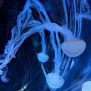 ヒメ日記 2025/02/21 09:52 投稿 夢咲ことね 性の極み妻 好き者たちの宴