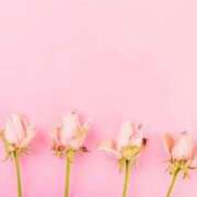 ことね んだんだ ぷよラブ れぼりゅ～しょん