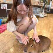 ヒメ日記 2026/06/25 14:19 投稿 詩空 こと(ｼｽﾞｸｺ ﾄ) Dolce～ドルチェ～