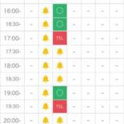 ヒメ日記 2024/12/26 17:18 投稿 出雲かぐや ウルトラロイヤル