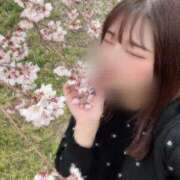 ヒメ日記 2025/04/17 20:42 投稿 じゅり ぷるりんクエスト上野浅草鶯谷秋葉原デリヘル王国