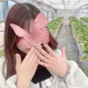 ヒメ日記 2025/04/23 20:42 投稿 じゅり ぷるりんクエスト上野浅草鶯谷秋葉原デリヘル王国