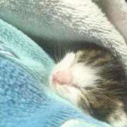 ヒメ日記 2025/02/16 12:38 投稿 ♡サラ MEGA PALACE(メガパレス）