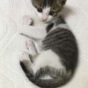 ヒメ日記 2025/02/22 21:28 投稿 ♡サラ MEGA PALACE(メガパレス）