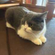 ヒメ日記 2025/11/13 07:53 投稿 ♡サラ MEGA PALACE(メガパレス）