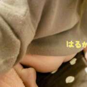 ヒメ日記 2025/02/27 16:58 投稿 はるか ちゃんこ大阪十三