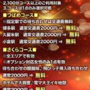 ヒメ日記 2024/11/21 07:58 投稿 みよ 待ちナビ