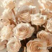 ヒメ日記 2025/01/03 13:35 投稿 みよ 待ちナビ