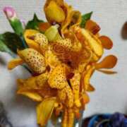 ヒメ日記 2025/01/16 10:05 投稿 みよ 待ちナビ