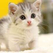 ヒメ日記 2025/01/21 09:25 投稿 みよ 待ちナビ