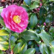 ヒメ日記 2025/03/08 08:49 投稿 みよ 待ちナビ