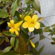 ヒメ日記 2025/04/11 09:55 投稿 みよ 待ちナビ