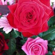 ヒメ日記 2025/04/21 14:49 投稿 みよ 待ちナビ