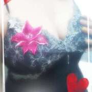 ヒメ日記 2025/04/29 10:45 投稿 みよ 待ちナビ