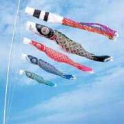 ヒメ日記 2025/05/05 08:55 投稿 みよ 待ちナビ